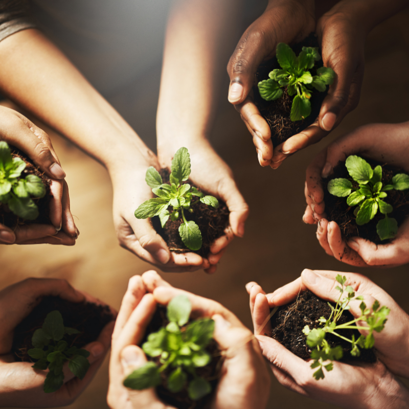 Come evitare il greenwashing e comunicare la sostenibilità